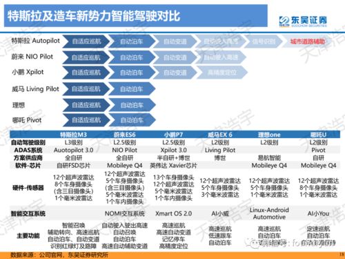 新造車勢力專項分析報告119頁
